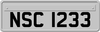 NSC1233