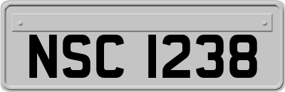 NSC1238