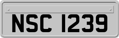 NSC1239