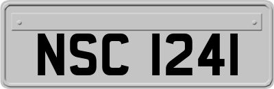 NSC1241