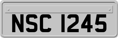 NSC1245