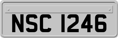 NSC1246