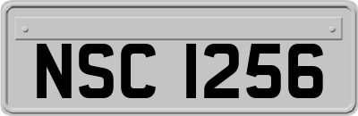 NSC1256