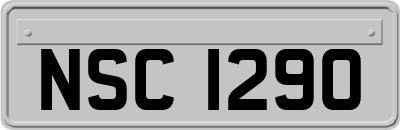 NSC1290