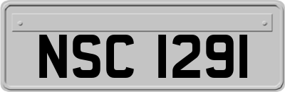 NSC1291