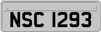 NSC1293