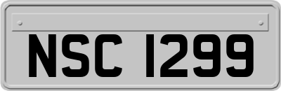 NSC1299