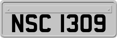 NSC1309