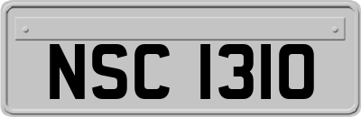 NSC1310