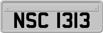 NSC1313