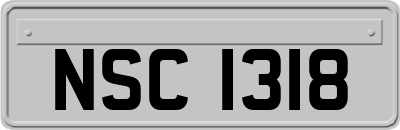 NSC1318