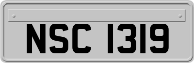 NSC1319