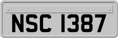 NSC1387