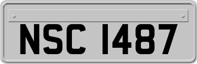 NSC1487