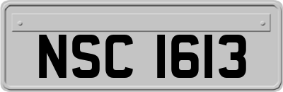 NSC1613