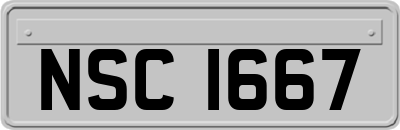 NSC1667