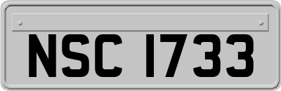 NSC1733