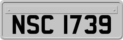 NSC1739