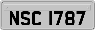 NSC1787