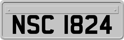 NSC1824