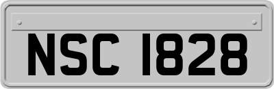 NSC1828