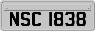 NSC1838