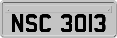 NSC3013