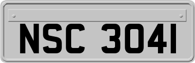 NSC3041