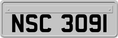 NSC3091