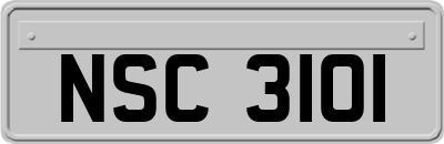 NSC3101