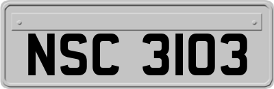 NSC3103