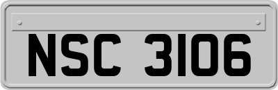 NSC3106