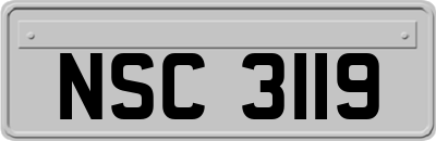 NSC3119