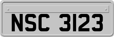 NSC3123