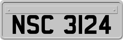 NSC3124