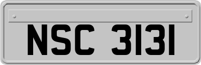 NSC3131