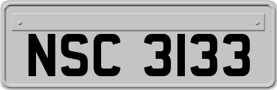 NSC3133