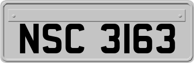 NSC3163