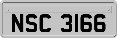 NSC3166