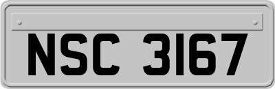 NSC3167