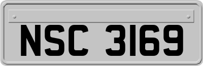 NSC3169