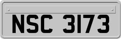 NSC3173