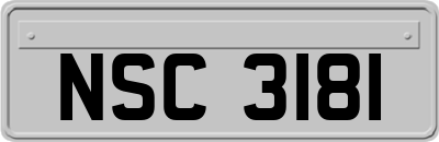 NSC3181