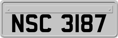 NSC3187