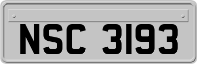 NSC3193