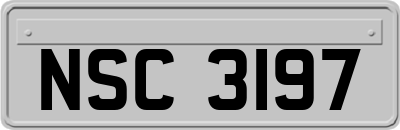 NSC3197