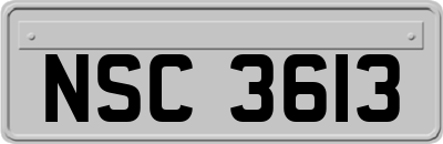 NSC3613