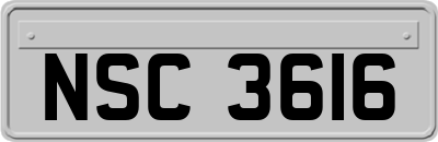 NSC3616