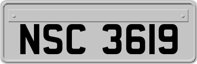 NSC3619