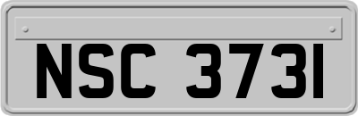 NSC3731